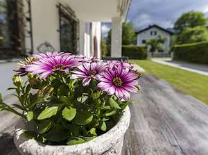 hoellentalchalet-ferienwohnung-terrasse1.jpg